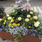 長野駅善光寺口駅前広場装飾用パレット花壇植栽制作