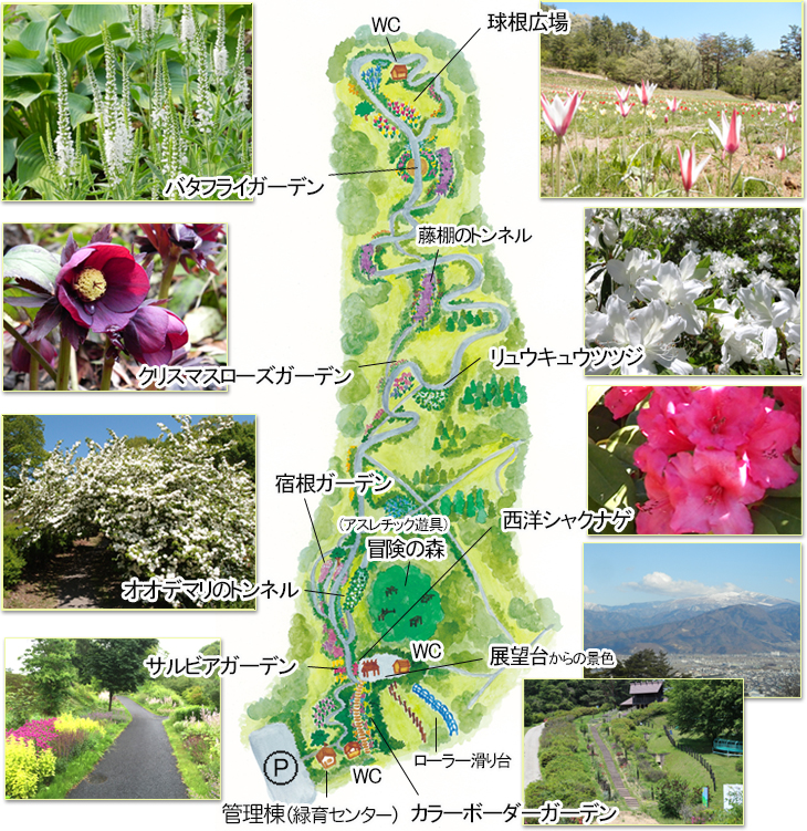 茶臼山自然植物園見取り図マップ