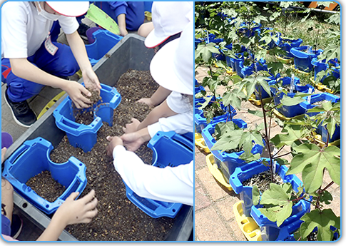 小学校での花育プロジェクト　長野市