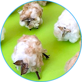 小学校で花育プロジェクト　ひつじを作る